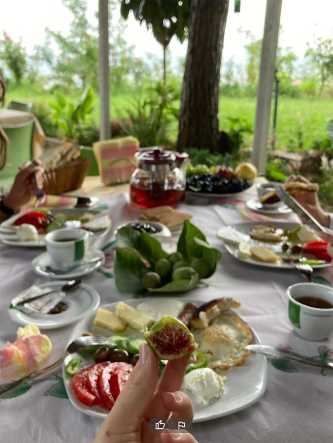 Hotel Nature Kolonje Eksteriør billede